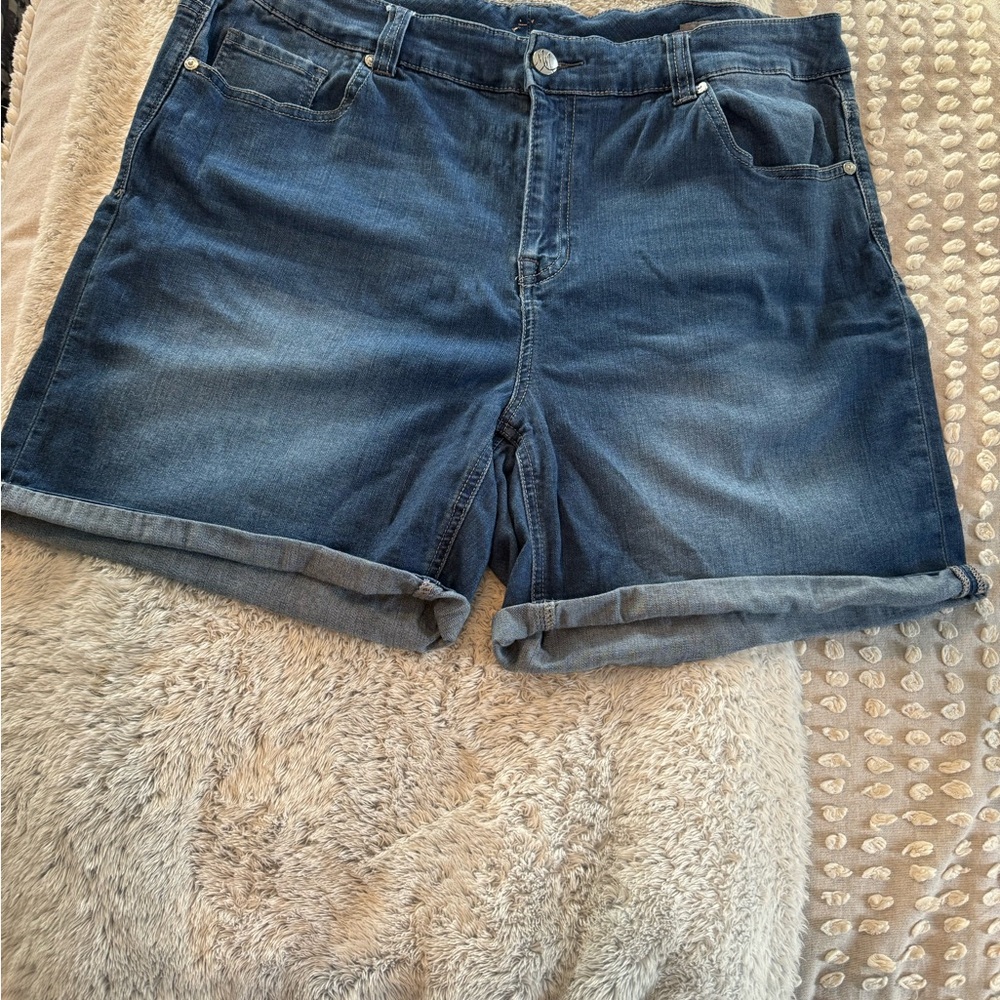 Melissa McCarthy Dark Blue Jean Shorts